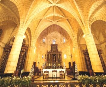 La Catedral Santa Maria la menor en Santo Domingo la cual data de 1512, Es considerada por muchos como la catedral mas antigua de america. 
con una arquitectura gotica y puertas de Cahoba que datan de mas de 500 años de antiguedad y el antiguo sitio de la tumba del navegante Cristobal 
Colon.